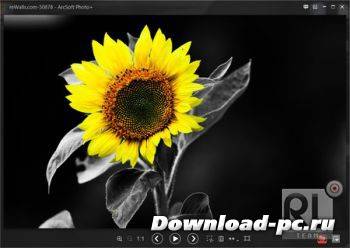 FREE KEY ArcSoft Photo+ 7.5.0.258