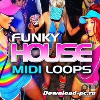 DMS - Funky House MIDI Vol 1
