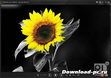 ArcSoft Photo+ v 7.5.0.258 + RUS