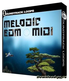 Soundtrack Loops Melodic EDM MIDI ACiD WAV MiDi AiFF LiVE PACK